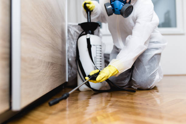 Best Commercial Pest Control Services  in South Houston, TX