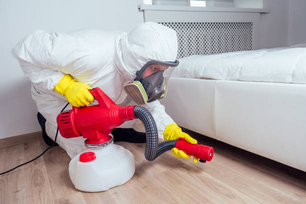 Best Mosquito Control Services  in South Houston, TX