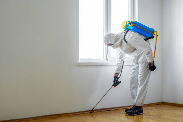 Best Exterminator Services  in South Houston, TX