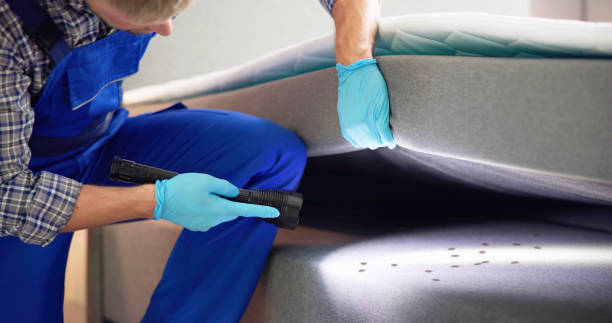 Best Emergency Pest Control  in South Houston, TX