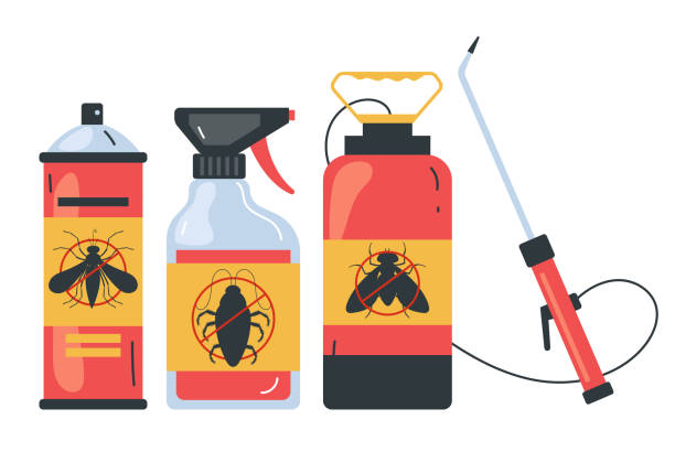 Best Spider Control Near Me  in South Houston, TX