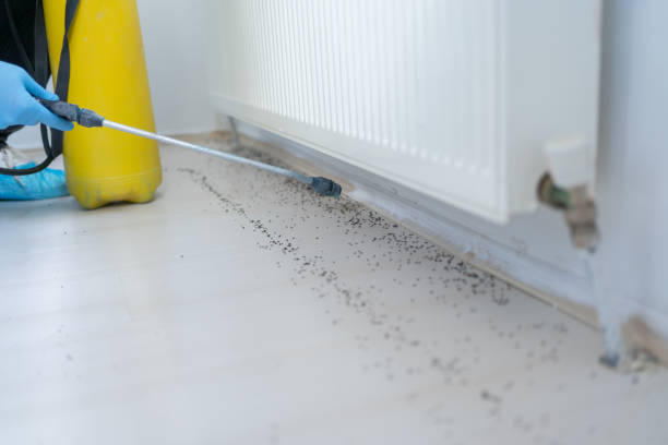 Best Pest Control Cost  in South Houston, TX